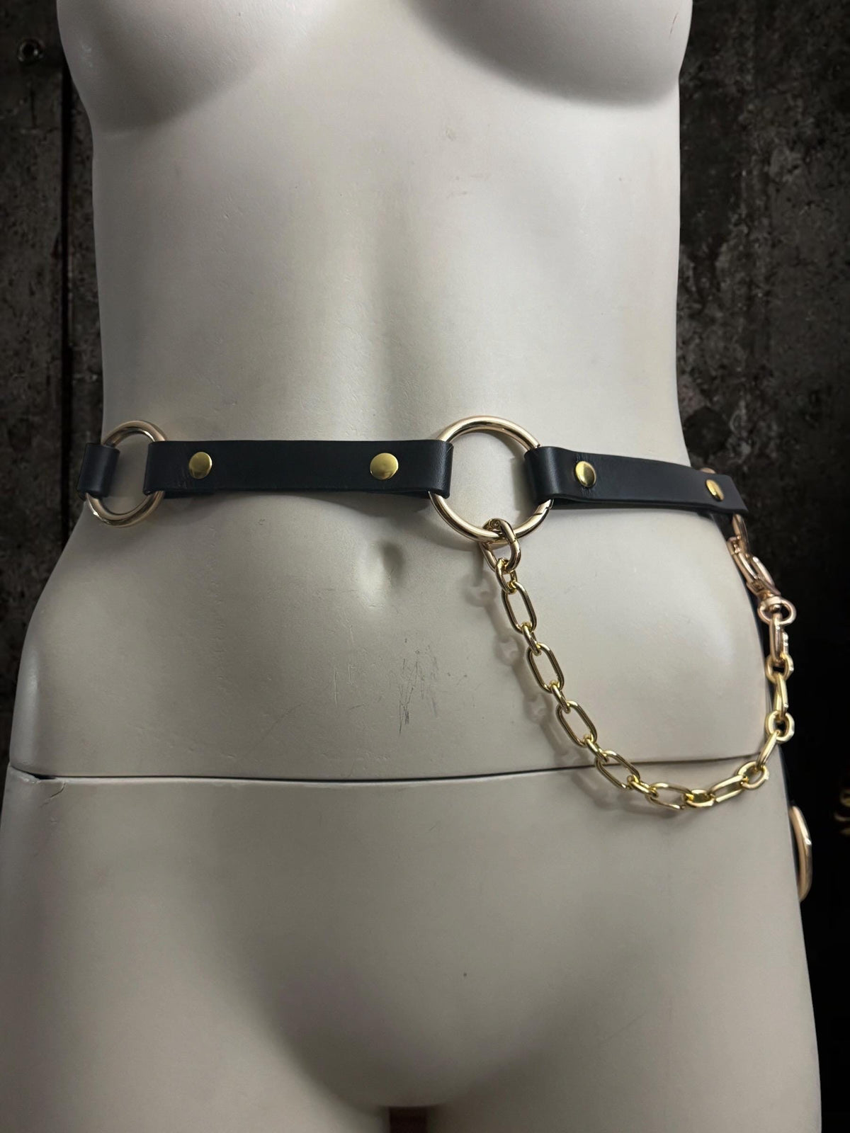 Modular Belt Strap: Leather, Stainless Steel Hardware, Versatile Accessory